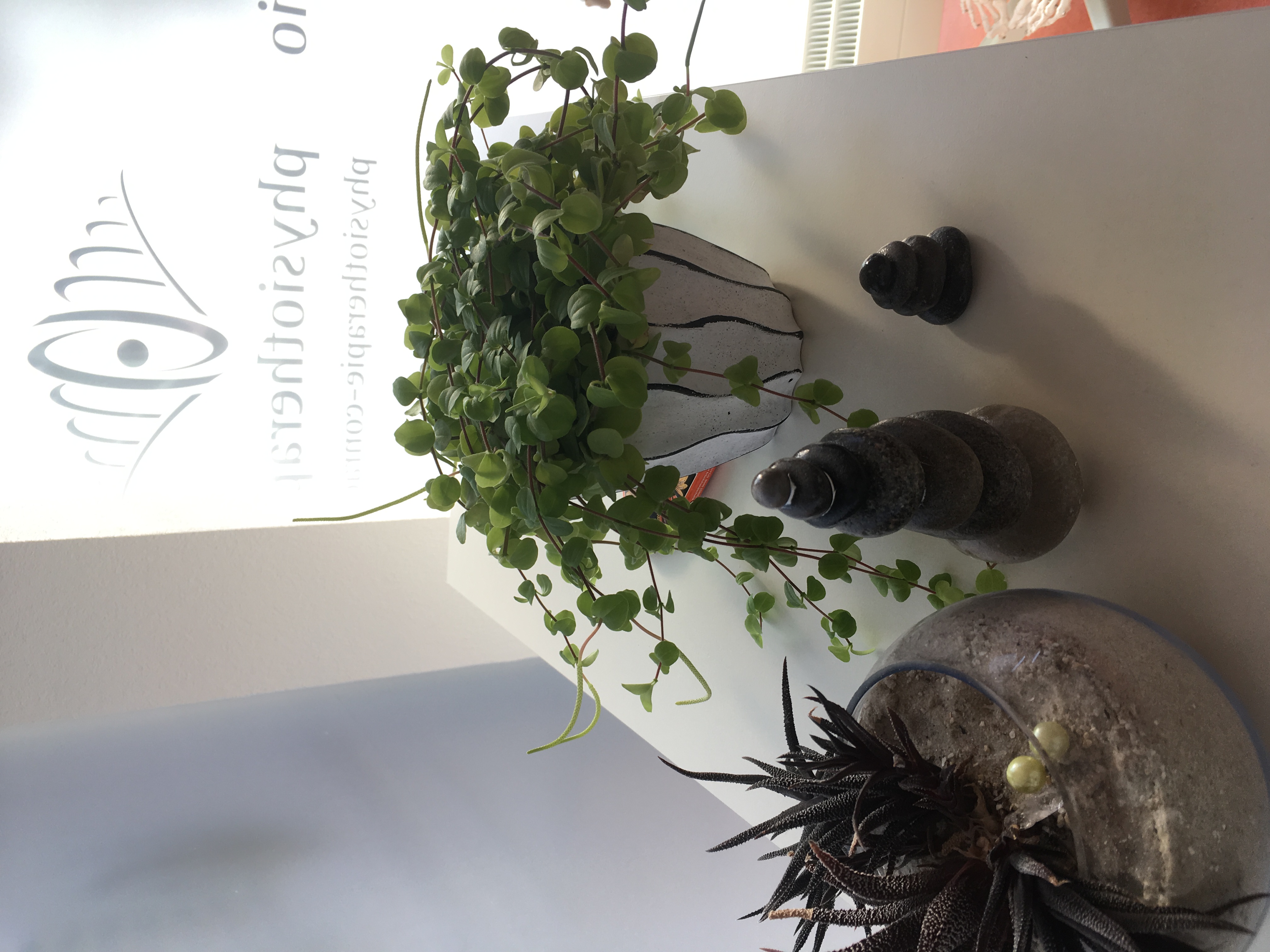 Physiotherapie Raums